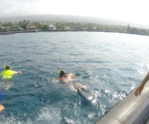 Deluxe-Capt-Cook-Tour-image-10