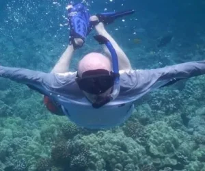 Deluxe-Capt-Cook-Tour-image-27