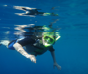 e6ca6e38fb0e791cd20e1d01f23ce449-800x600