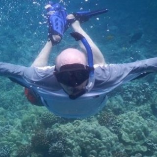 person snorkeling above reef