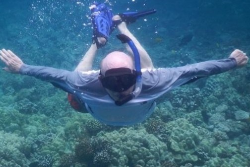 person snorkeling above reef