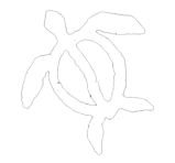 Adventures in Paradise