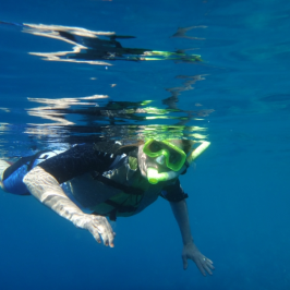 single person snorkeling