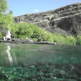 captain cook monument against cliffs