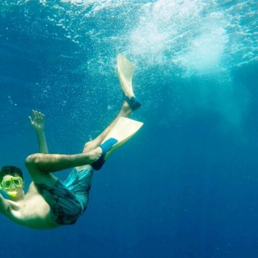 snorkeler upside down